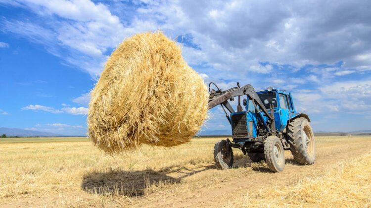 Жетісуда мал қыстату маусымына 2 млн тоннадан астам жем-шөп дайындалды