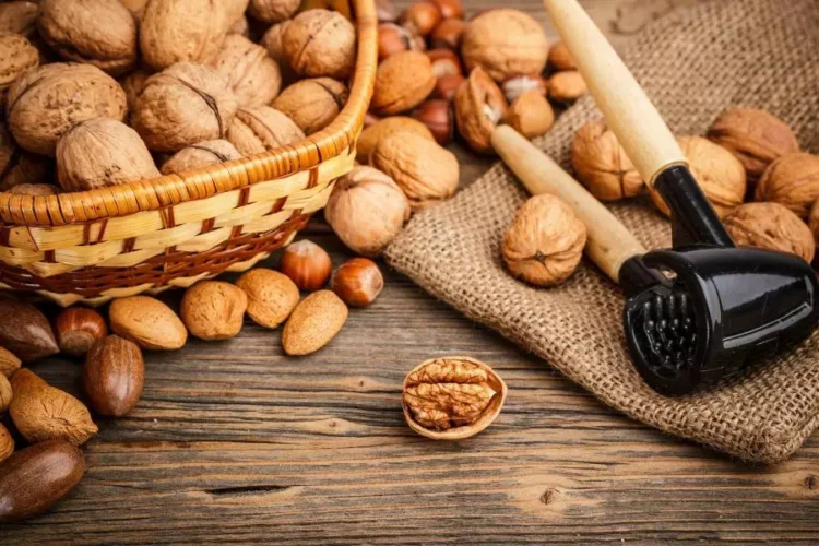 Мамандар күзде жаңғақ жеудің пайдасын айтты