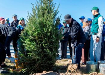 «Таза Қазақстан»: Жетісуда ең таза үлгілі ауылдар мен аудан орталықтары марапатталды