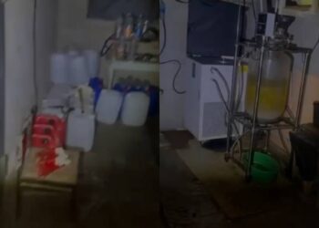 Жетісу облысында есірткі өндірумен айналысқан қылмыстық топ ұсталды