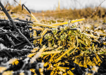 29 қазанға арналған ауа райы болжамы