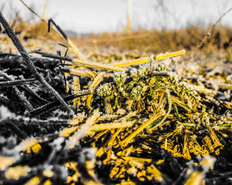 29 қазанға арналған ауа райы болжамы