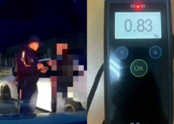 Жетісуда полицейлер мас жүргізушіні тоқтатып, апаттың алдын алды