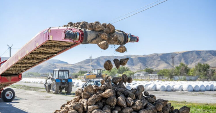 Жетісудың аграрлық әлеуеті артып келеді