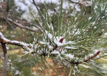 Қазгидромет ауа райы күрт өзгеретінін хабарлады
