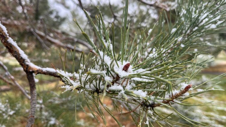 Қазгидромет ауа райы күрт өзгеретінін хабарлады
