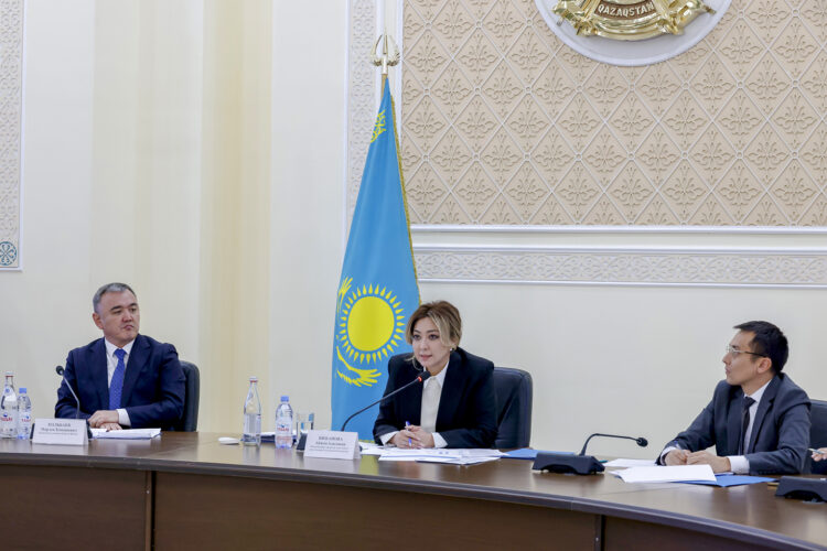 Сауда және интеграция вице-министрі Жетісуда баға тұрақтылығы мен логистика мәселесін талқылады