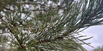 Ауа райы күрт бұзылады: Қазгидромет ескерту жариялады