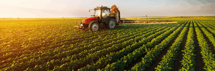 Қайтқан жерде қайыр бар