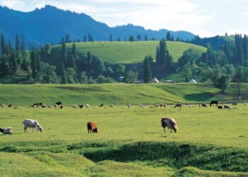 Киелі мекен – Ақсуым