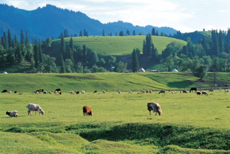 Киелі мекен – Ақсуым