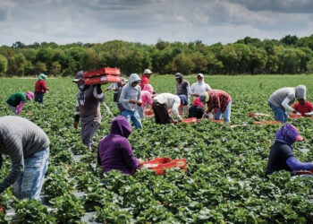 Жат елдегі өмір: арман ба әлде арпалыс па?