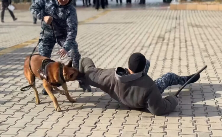 Жетісу университетінде полиция мен кинологтар студенттерге шеберлік көрсетті