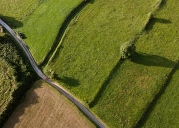 Биыл Жетісу облысында 97 мың гектардан астам жер мемлекетке қайтарылды
