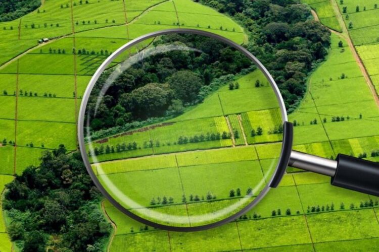 Жетісуда 100 мың гектар ауыл шаруашылығы жері мемлекет меншігіне қайтарылды