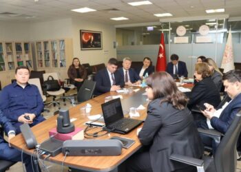 Қазақстан мен Түркия медицинаны цифрландыру бойынша ынтымақтастықты күшейтеді