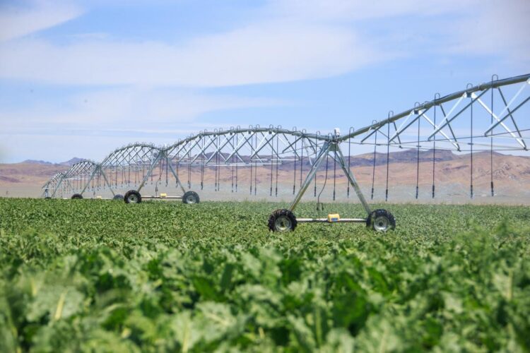 Ескелді ауданында 1700 гектар алқапқа су үнемдеу технологиясы енгізілді