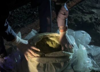 Жетісу өңірінде есірткінің заңсыз айналымына тосқауыл қойылды