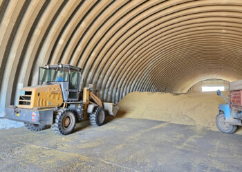 ТМД нарығында танымал соя өңдейтін кәсіпорын