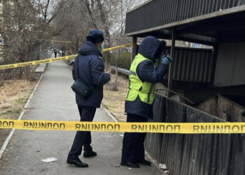 Қоқыс жәшігінен сәби өлі табылды