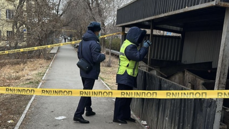 Қоқыс жәшігінен сәби өлі табылды