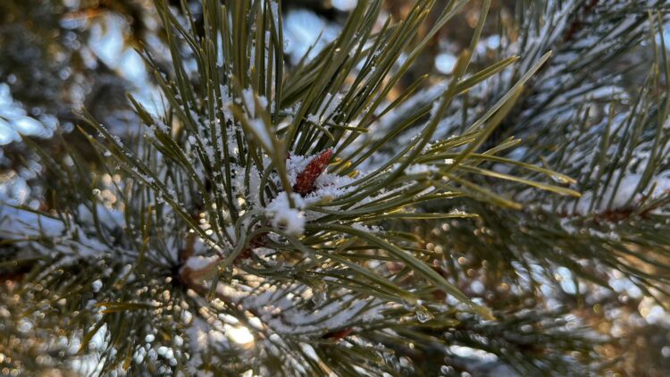Қазгидромет дүйсенбіге арналған ауа райы болжамын ұсынды