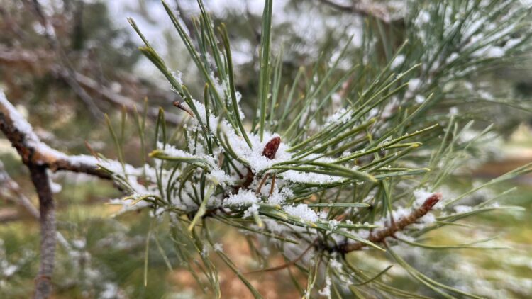 Қазгидромет ауа райына байланысты ескерту жасады
