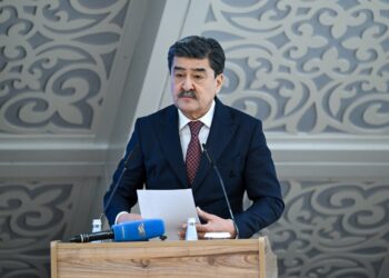 Ерлан Нысанбаев елдегі экологиялық жағдайды баяндады