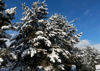 11 желтоқсанда қар, тұман, көктайғақ: Қазгидромет ескерту жасады