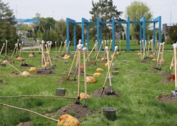 Облысымызда соңғы екі жылда 29 саябақ салынып, жаңғыртылды және 250 мыңдай ағаш отырғызылды