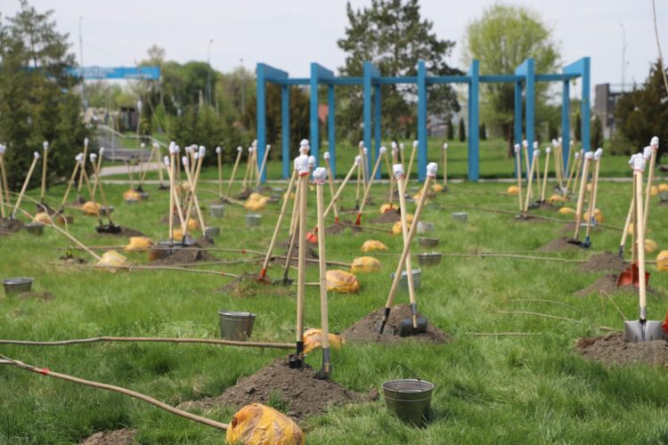 Облысымызда соңғы екі жылда 29 саябақ салынып, жаңғыртылды және 250 мыңдай ағаш отырғызылды