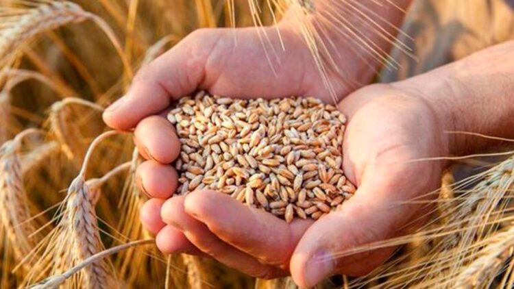 Айдарбек Сапаров: 15 млн. тонна астық экспортқа жол тартты