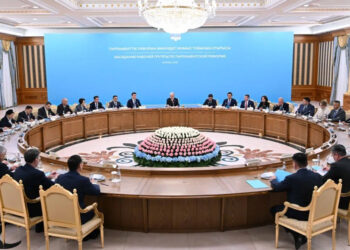 Бір палаталы парламенттік жүйе: тиімділікке бастар реформалық үлгі