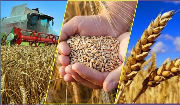 Жылдың қомақты жетістігі