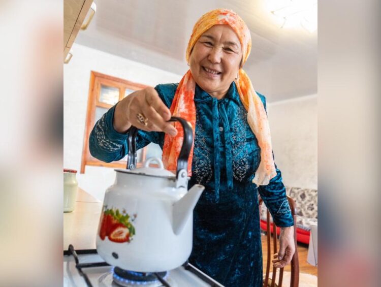 Жыл қорытындысы: Жетісуда газ тартылған елді мекендер саны 126 елді мекенге жетті