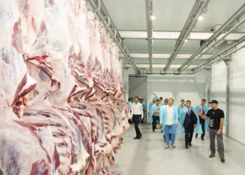 Қазақстан еті әлем нарығында: Экспорт 2 есеге жуық артты