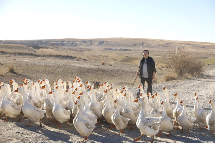 TikTok-та танылған құсшы Мадина: Үйдің ауласынан басталған кәсіп