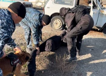 Жетісуда кинологтар күрделі оқу-жаттығу өткізді