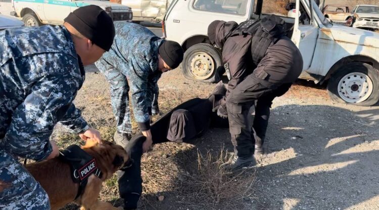 Жетісуда кинологтар күрделі оқу-жаттығу өткізді