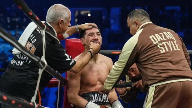 Жәнібек Әлімханұлының табысы белгілі болды: «Qazaq Style» қанша ақша тапты?