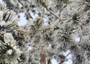 Бүгін ауа райы құбылмалы болады