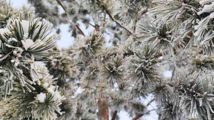 Бүгін ауа райы құбылмалы болады