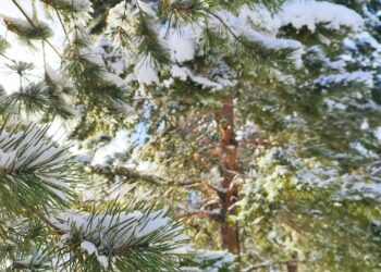 Ауа райына байланысты синоптиктер маңызды ескерту жасады