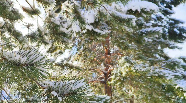 Ауа райына байланысты синоптиктер маңызды ескерту жасады