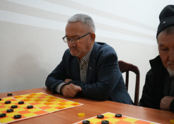 Ардагерлер сайыс жолында