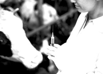 Ветеринар – адамзатты емдейтін мамандық