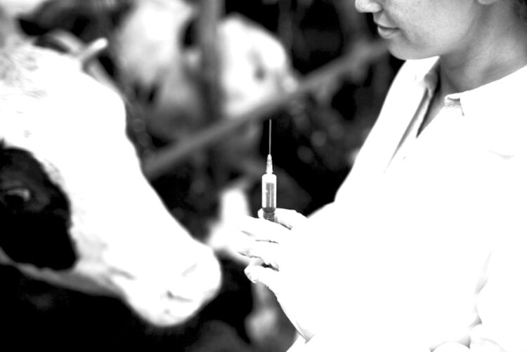 Ветеринар – адамзатты емдейтін мамандық