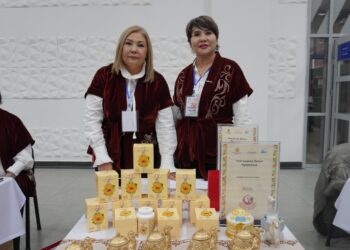Кәсіпкер әйелдердің әлеуеті жоғары
