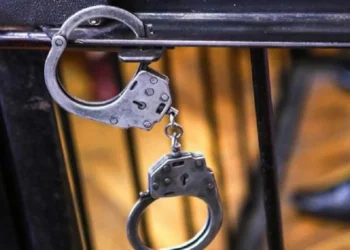 Алакөл ауданы әкімінің орынбасары 5 жылға сотталды