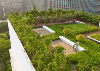 Жетісу прокурорлары «Ардагерлер саябағының» жерін заңсыз иеленушілерден қайтарып алды